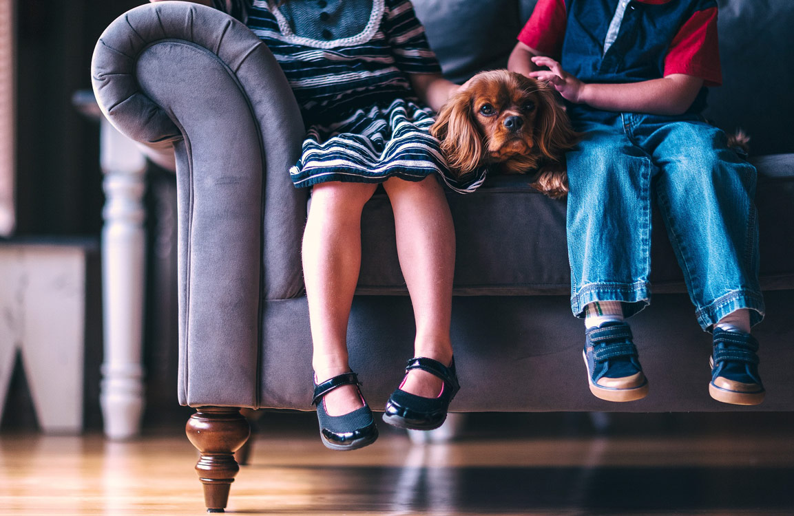 petsitter savoie peccram chambery