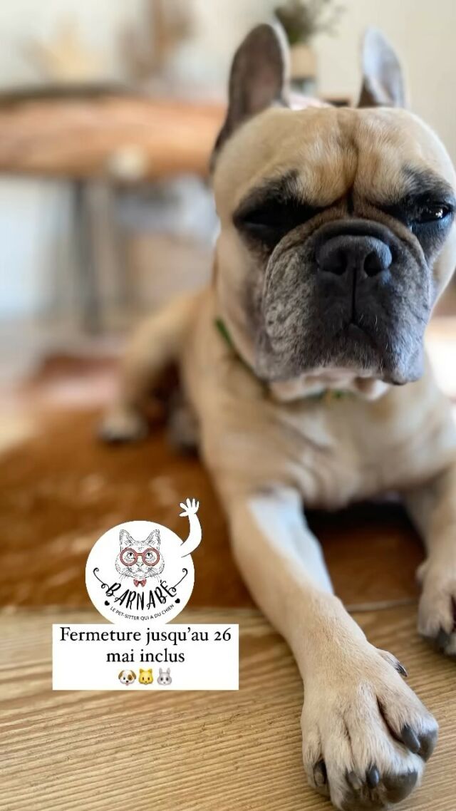 Barnabé prends des vacances 🐶🐱🐰
Rendez vous le 26 mai!